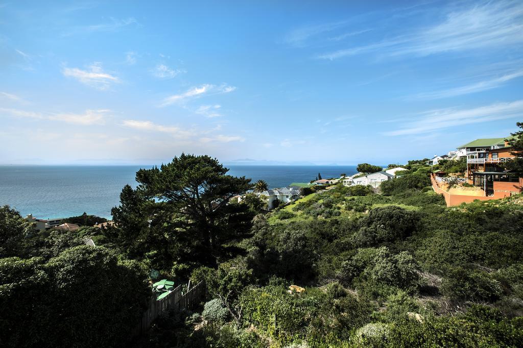 Penguinden - Load-Shedding Free Hotel Simonʼs Town Buitenkant foto